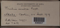 Image Associated With the Occurence